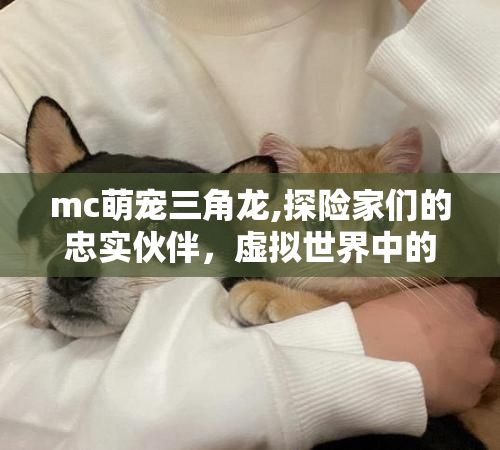 mc萌宠三角龙,探险家们的忠实伙伴,虚拟世界中的真实友谊