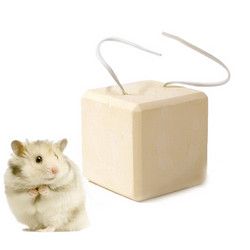 憨憨乐园 宠物磨牙石小仓鼠金丝熊荷兰猪松鼠龙猫兔子
