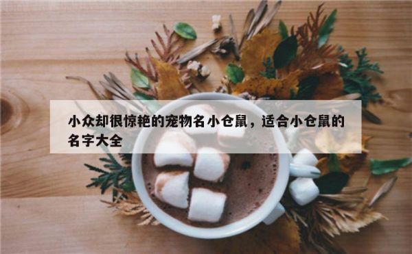 小众却很惊艳的宠物名小仓鼠，适合小仓鼠的名字大全