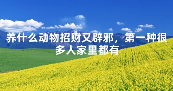 养什么动物招财又辟邪，第一种很多人家里都有