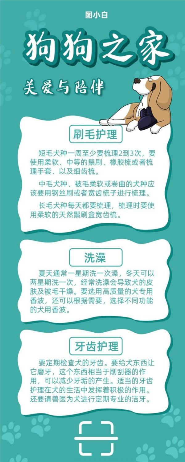 宠物店广告宣传海报图1