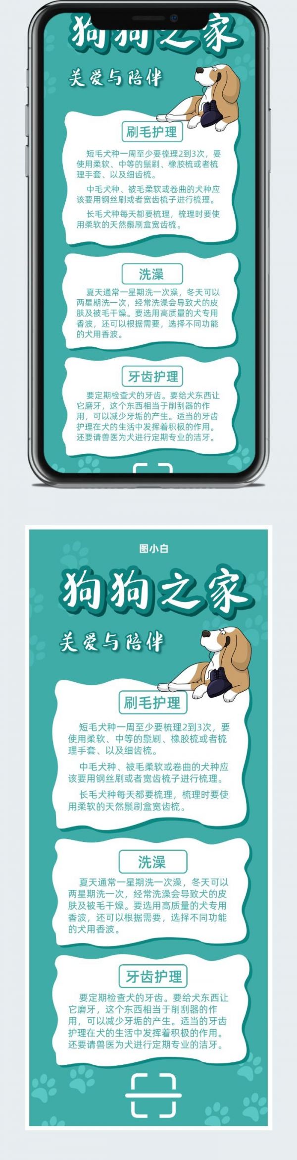 宠物店广告宣传海报图2
