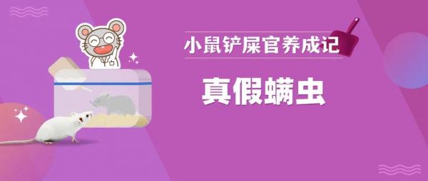 真假螨虫