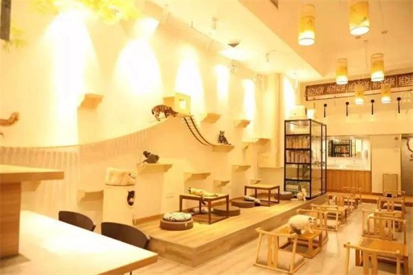宠物咖啡店