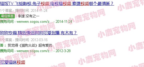萌宠动物视频