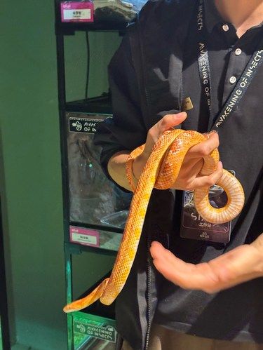 全北京講解最全自然動物館