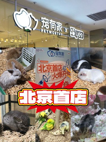 宠有家开业！北京首店！互动送小礼品哦[礼物]