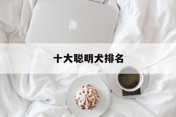 十大聪明犬排名(十大聪明犬排名哈士奇)