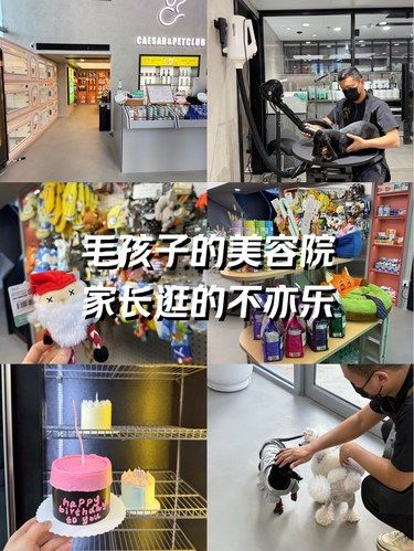 这家宠物商店太好逛了！