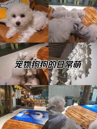 来撸摇粒绒啦！