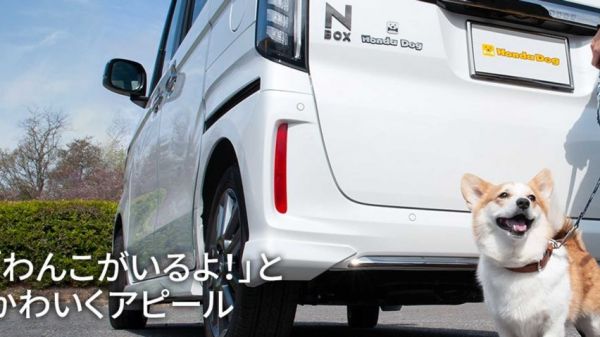 本田推出专门为宠物狗设计的副驾驶 网友：国产车什么时候有？