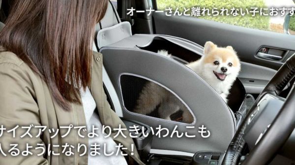 本田推出专门为宠物狗设计的副驾驶 网友：国产车什么时候有？