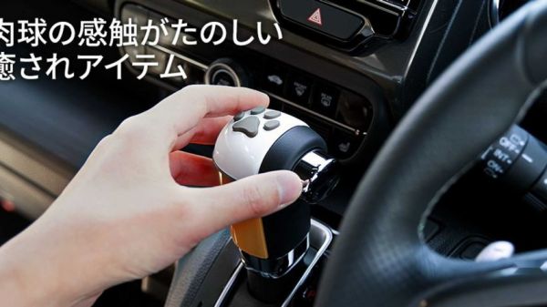 本田推出专门为宠物狗设计的副驾驶 网友：国产车什么时候有？