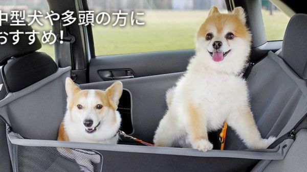 本田推出专门为宠物狗设计的副驾驶 网友：国产车什么时候有？