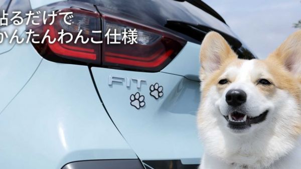 本田推出专门为宠物狗设计的副驾驶 网友：国产车什么时候有？