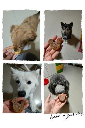 可爱的宠物月饼的做法 步骤8