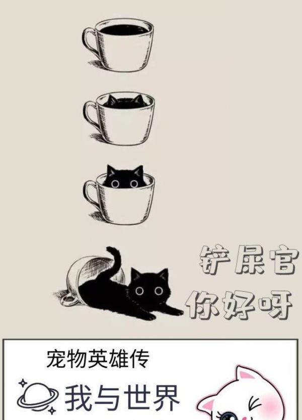 流浪猫咪霸占摩托车，被收养后开心喵叫这些全是我的！