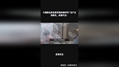 火腿肠当真是用死猪肉做的吗？生产过程曝光，真相大白！