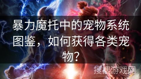 暴力魔托中的宠物系统图鉴，如何获得各类宠物？