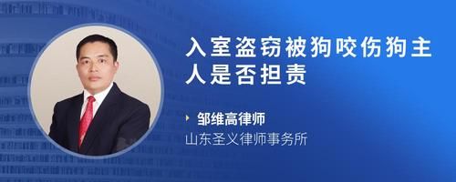 入室盗窃被狗咬伤狗主人是否担责