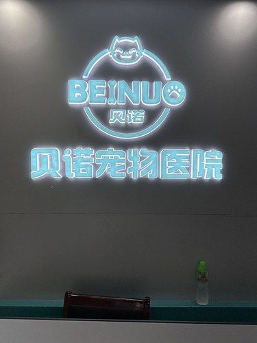 这家宠物医院的服务态度确实出色 
