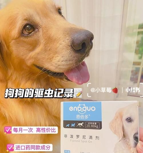 如何正确给宠物狗驱虫（详解驱虫方法及注意事项）