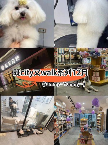 既city又walk系列--友它宠物