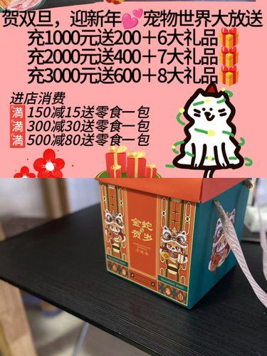 回购六年的宠物店简直不要太棒！