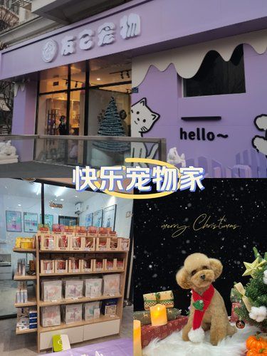 带毛孩子来友它做护理啦[送星星]