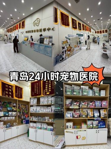 青岛居然有这么高级的宠物医院！居然还是24小