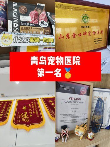 毛孩子终于等到了这家的双蛋活动～～