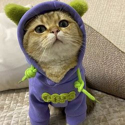 宠城 宠物衣服潮牌