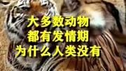 大多数动物都有发情期,为什么人类没有? #冷知识 #科普 #奇闻异事