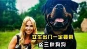 女生出门一定要带这三种狗狗