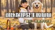 可以保护女生的4种狗狗,一定要记住!#科普
