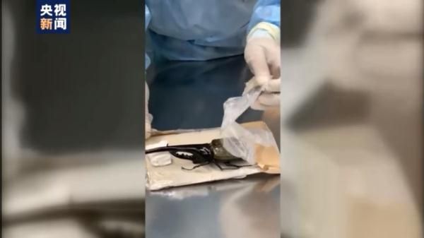 警告！这些都是你不该触碰的“另类宠物”