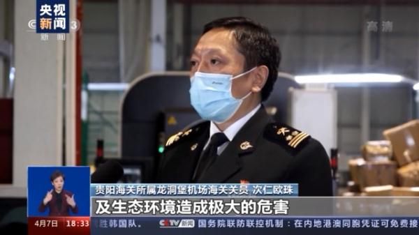 警告！这些都是你不该触碰的“另类宠物”