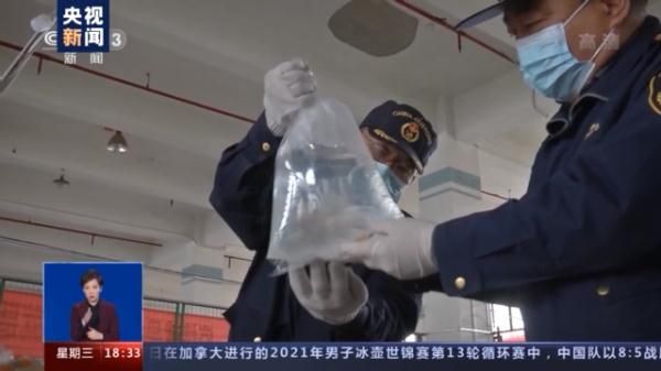 警告！这些都是你不该触碰的“另类宠物”