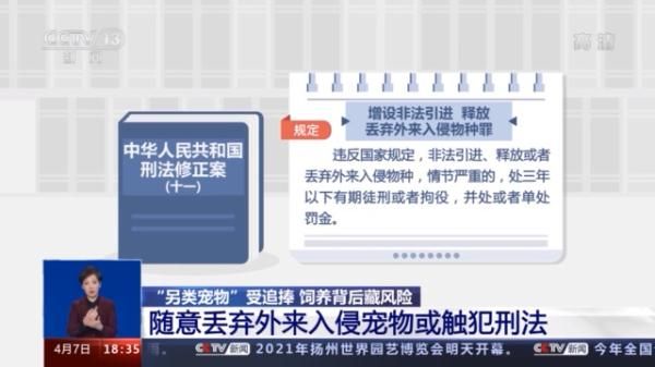 警告！这些都是你不该触碰的“另类宠物”