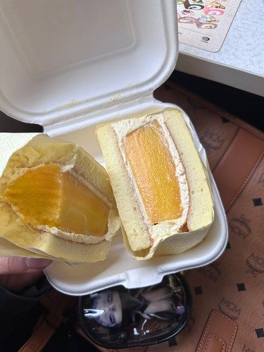 离开沈阳前……一定要带上高铁的!!!!