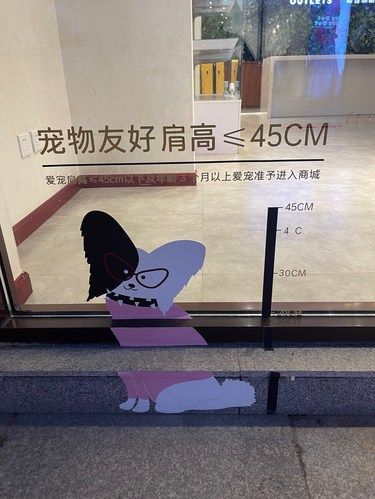 宠物都有身高标准啦[衰][捂脸][发呆]我来动物城啦！