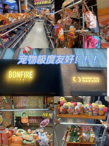 快带着宠物来，让他们自己选！