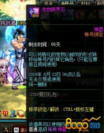 DNF夏日套的宠物跨界石怎么使用 