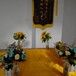 杭州宠物火化殡葬流程？