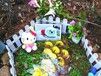 杭州猫猫狗狗宠物动物尸体无公害火化殡葬服务