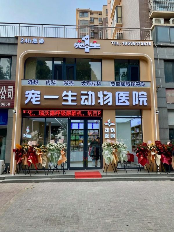 深圳宝安西乡宠物医院，宠物医院有急诊吗？
