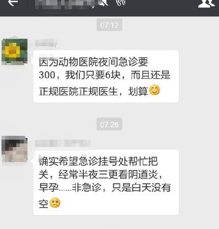 因动物医院急诊挂号需 300 元 女子抱宠物上医院看病