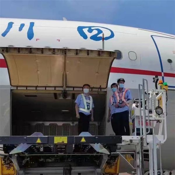 【宁波机场托运公司】宁波物流 猫咪托运 加急快递空运办理