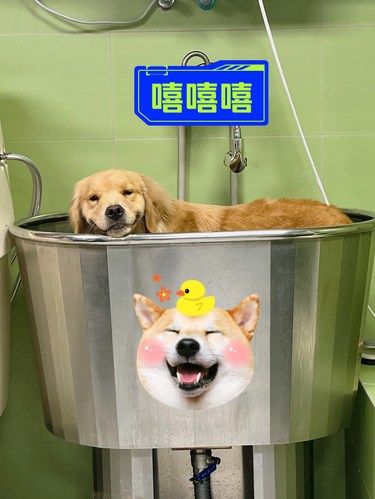 避雷？不用！洗澡来这家就对了！