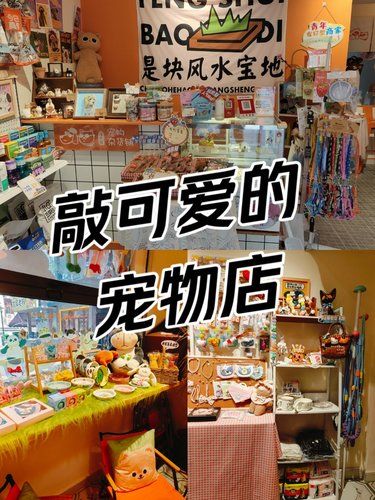 民主村创意宠物店